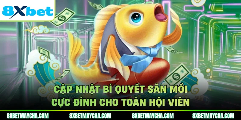 Cập nhật bí quyết săn mồi cực đỉnh cho toàn hội viên