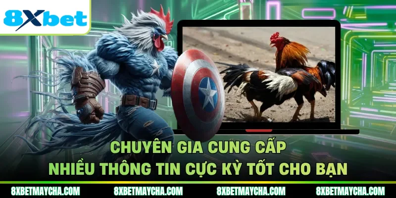 Chuyên gia cung cấp nhiều thông tin cực kỳ tốt cho bạn