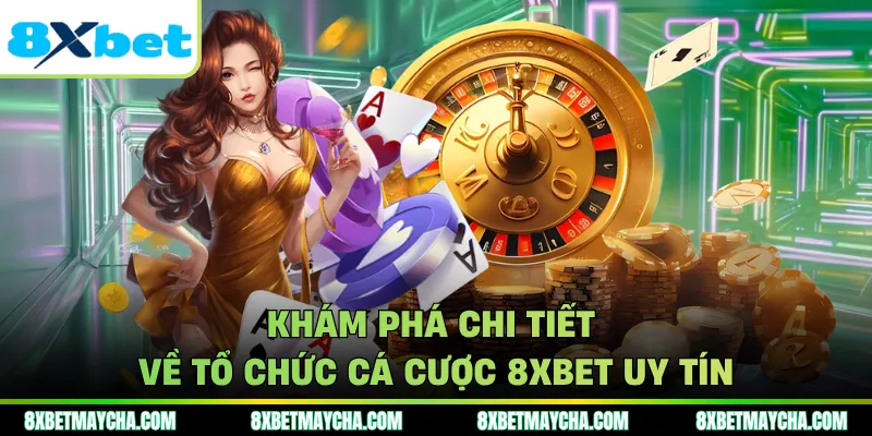 Khám phá chi tiết về tổ chức cá cược 8XBET uy tín