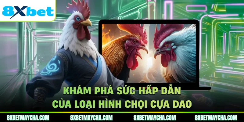 Khám phá sức hấp dẫn của loại hình chọi cựa dao