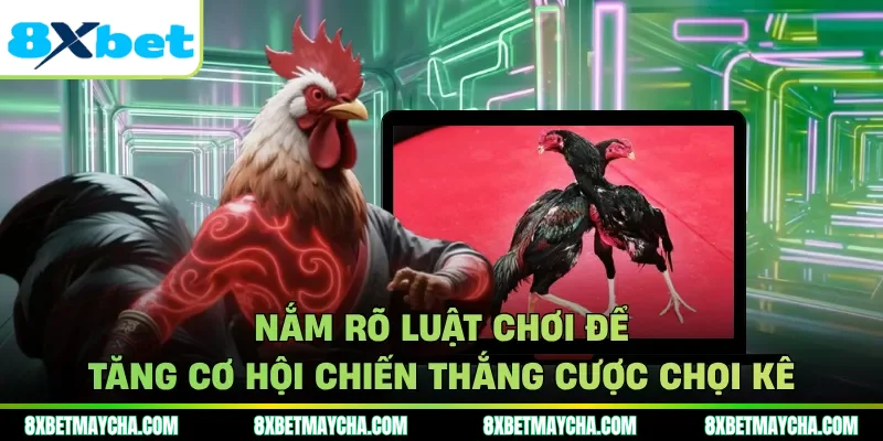 Nắm rõ luật chơi để tăng cơ hội chiến thắng cược chọi kê
