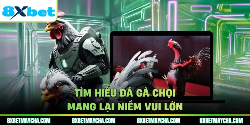 Tìm hiểu đá gà chọi mang lại niềm vui lớn